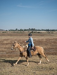 Galloping on the Trail