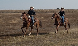 Galloping on the Trail