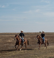 Galloping on the Trail