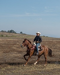 Galloping on the Trail