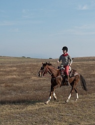 Galloping on the Trail
