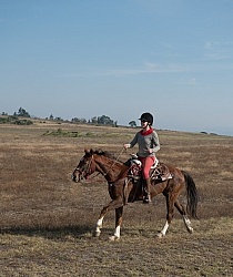 Galloping on the Trail