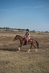 Galloping on the Trail