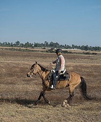 Galloping on the Trail