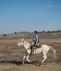 Galloping on the Trail