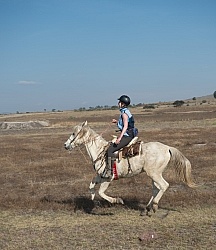 Galloping on the Trail