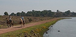 Galloping on the Trail