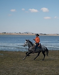 Galloping on the Trail