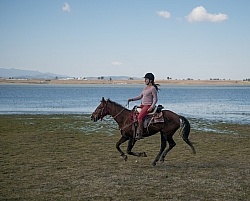 Galloping on the Trail