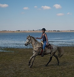 Galloping on the Trail