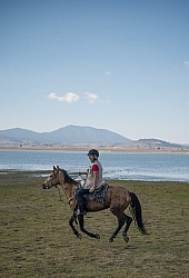 Galloping on the Trail