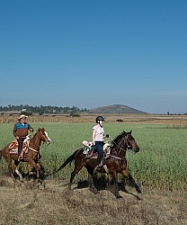 Galloping on the Trail