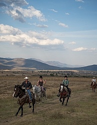 Galloping on the Trail