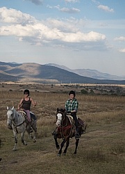 Galloping on the Trail
