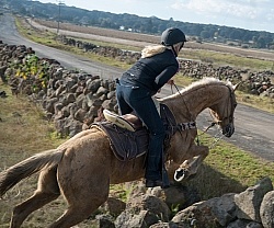 Jumping Stone Wall in Mexico