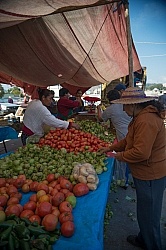 Local Market