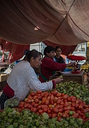 Local Market