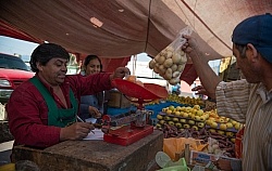 Local Market
