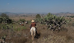 On the Trail at Las Cascadas