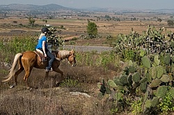 On the Trail at Las Cascadas