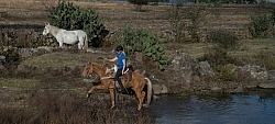 On the Trail at Las Cascadas