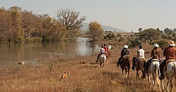 On the Trail at Las Cascadas