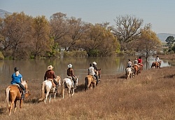 On the Trail at Las Cascadas