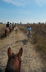 On the Trail at Las Cascades