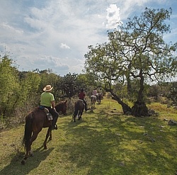 On the Trail at Las Cascades