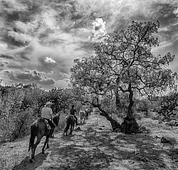 On the Trail at Las Cascades