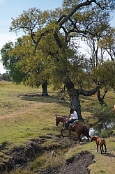 On the Trail at Las Cascades