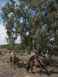 On the Trail at Las Cascades