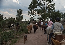 On the Trail at Las Cascades
