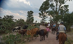 On the Trail at Las Cascades