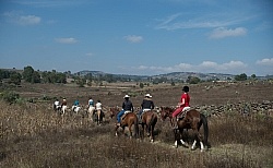 On the Trail at Las Cascades
