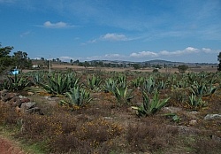 On the Trail at Las Cascades
