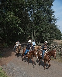 On the Trail at Las Cascades