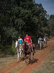 On the Trail at Las Cascades
