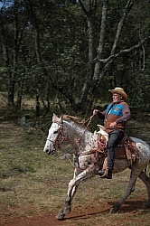 On the Trail at Las Cascades