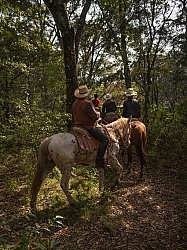 On the Trail at Las Cascades