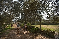 On the Trail at Las Cascades