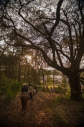On the Trail at Las Cascades