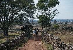 On the Trail at Las Cascades
