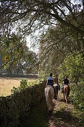 On the Trail at Las Cascades