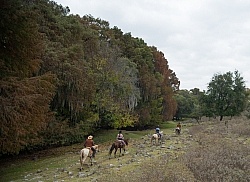 On the Trail at Las Cascades