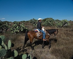 On the Trail at Las Cascades