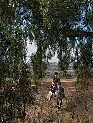 On the Trail at Las Cascades