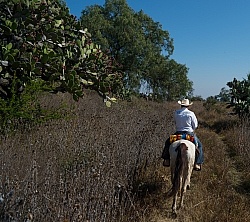 On the Trail at Las Cascades