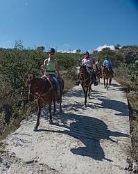 On the Trail at Las Cascades