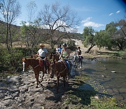 On the Trail at Las Cascades